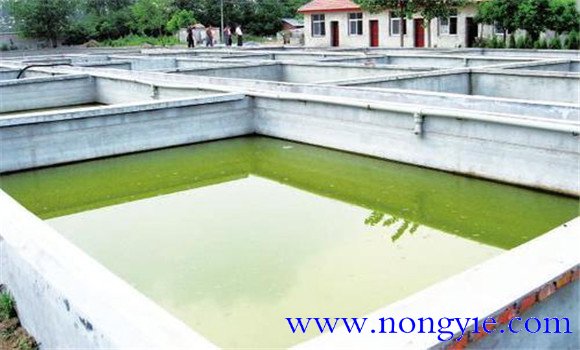 精養魚池的建設標準