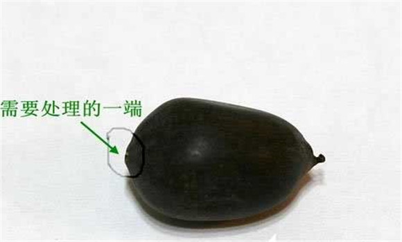 碗蓮的種植方法帶圖，碗蓮的種植方法與技術詳