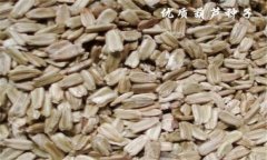葫蘆種子價格是多少 葫蘆種子多少錢？