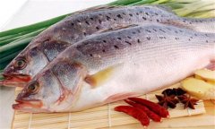 鱸魚是海魚還是淡水魚，海鱸魚和河鱸魚的區別