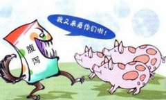 豬流行性腹瀉怎么治療、預防與防治要點有哪些