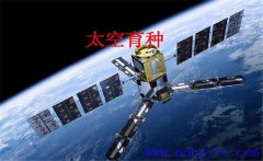 什么是航天育種 航天育種能讓作物發生哪些改變