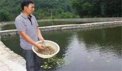 魚塘如何施肥？魚塘施肥技術的三個要點
