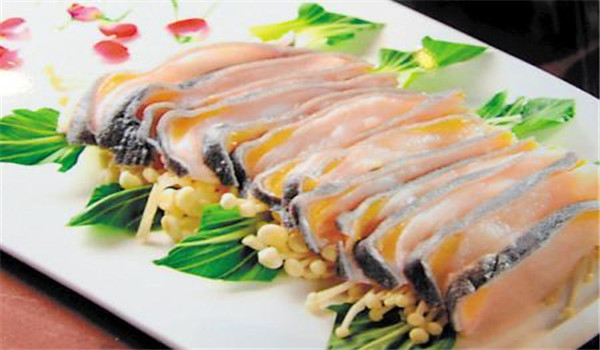 娃娃魚營養價值