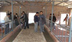 奶牛場設施設備有哪些，是如何分類的？