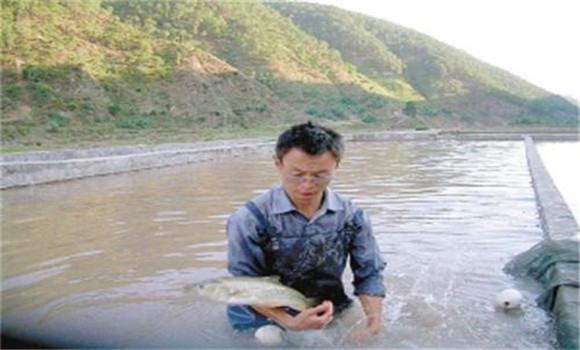 加州鱸魚養殖方式