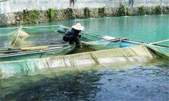 魚赤皮病的治療方法、是什么引起、有什么癥狀