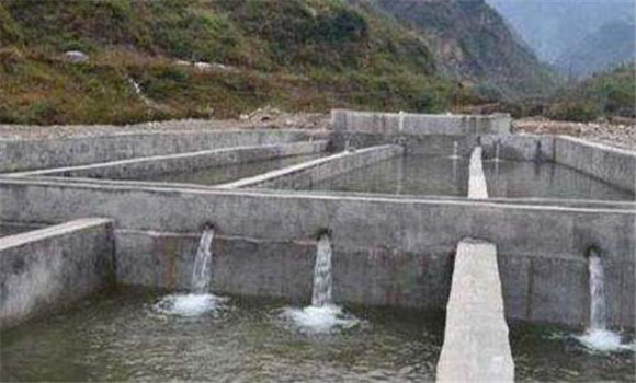 魚種放養量如何掌握