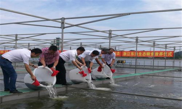 鱖魚苗什么時候放養
