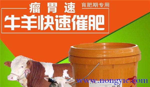 養羊的飼料添加劑有哪些種類