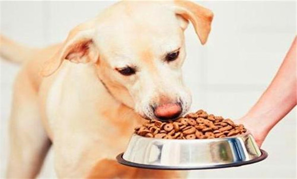 飼喂次數