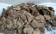 雞糞如何發酵成有機肥，用什么發酵菌好？
