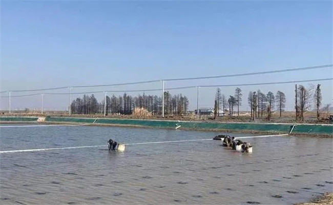 青蟹養殖技術與管理