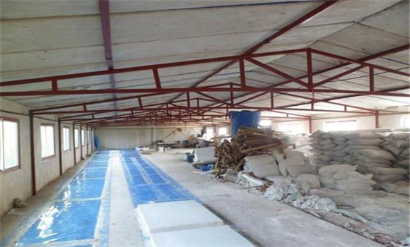 豬舍怎么建最好？標準化豬舍內部建筑特點
