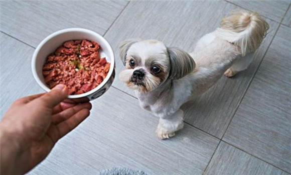 犬飼料中為何要添加鐵、銅等微量元素
