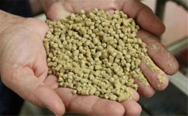 養殖戶自配飼料需要掌握的10大技術要點