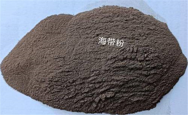 用海帶粉作飼料添加劑可改進飼料的營養結構