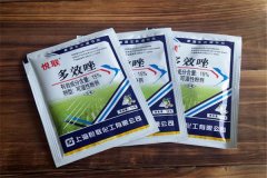 如何正確使用多效唑，用多了發生藥害怎么辦？