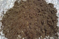 怎樣用多菌靈給土壤消毒，多菌靈可防治哪些病