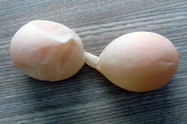 雞下軟蛋怎么辦、如何防治
