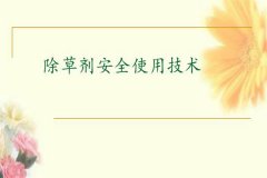 除草劑安全使用要點 發生除草劑藥害如何補救？