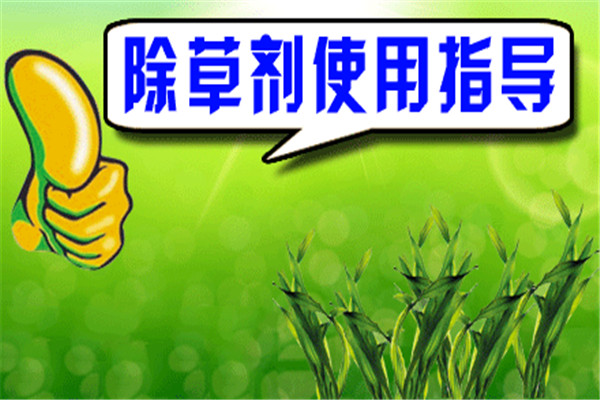 發生除草劑藥害如何補救