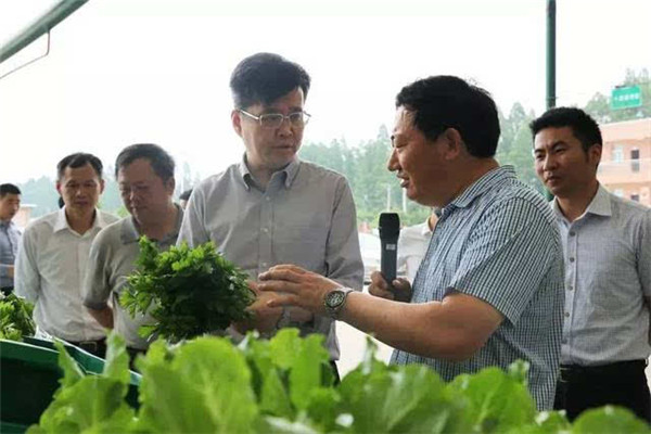 生產無公害蔬菜注意事項