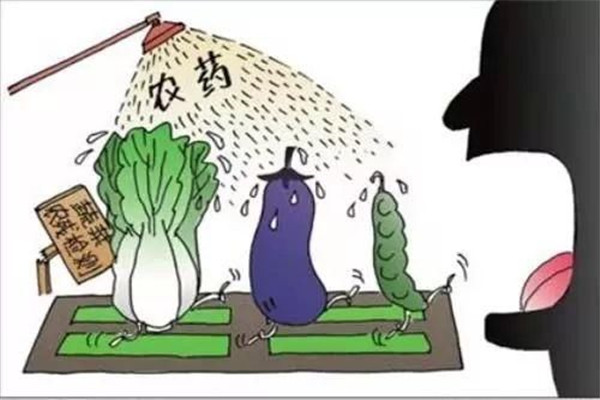怎樣合理使用農藥，防止農藥對蔬菜的污染