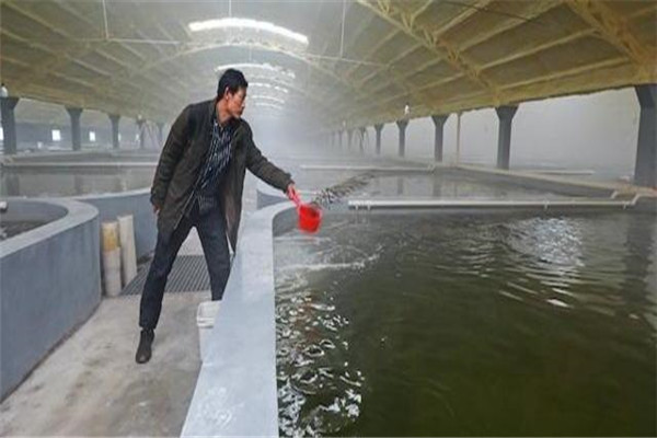pH值。表示水的酸堿度