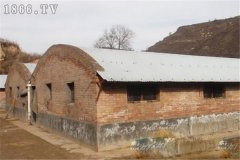 麝鼠圈舍建筑方法與要求有哪些？