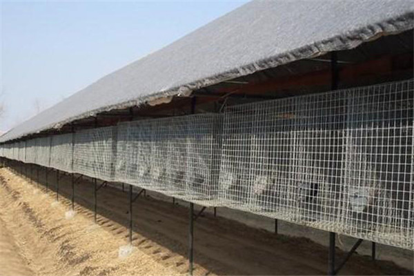 養殖狐貍的棚舍建設要求有哪些
