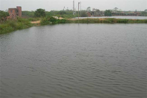 高溫季節如何給魚池注水