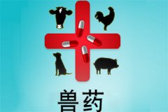 獸藥屬于藥品嗎？獸藥與人用藥的區別是什么？