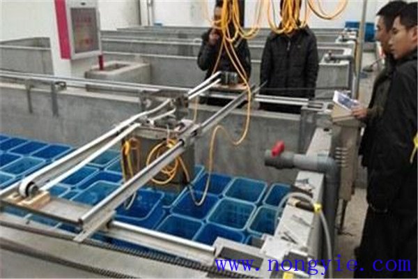 養魚用機械設備