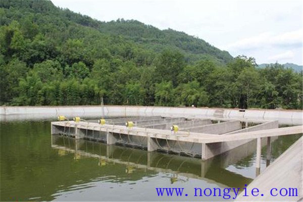 什么是流水養魚