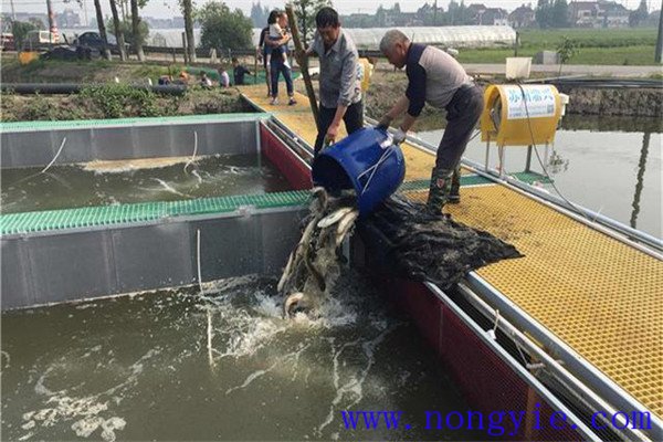 春節后養魚的朋友們應注意哪些問題