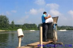 如何讓魚安全越冬，并降低魚體越冬期失重