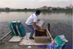 怎樣提高魚飼料的利用率？
