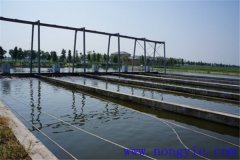 現代池塘養魚的生產與經營特點是什么？