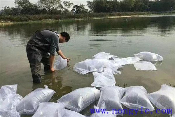 放養魚苗的具體方法