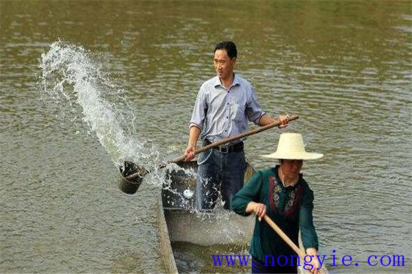 加強病害防治、講究安全用藥