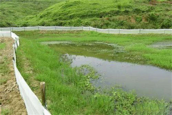 小龍蝦養殖池塘如何建造防逃墻