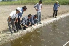養蝦的水質管理主要技術措施