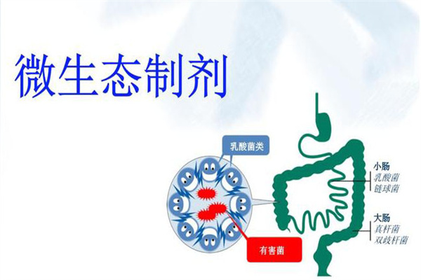 微生態制劑的作用原理