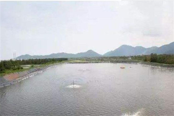 池塘的準備