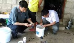 魚病治療中的發現、送診、用藥問題