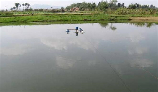 養魚池塘溶氧的來源和消耗途徑