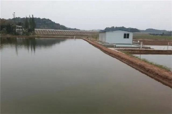 池塘形狀和環境