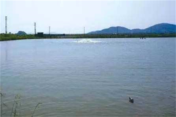鮰魚養殖的池塘條件