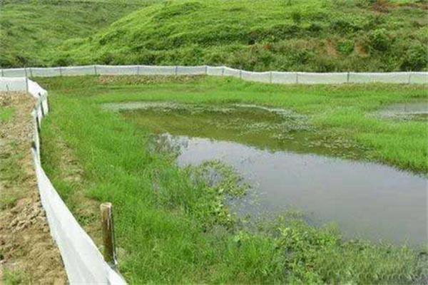 龍蝦養殖怎么肥水